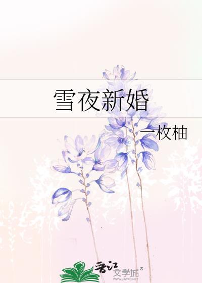 雪夜新婚完整版阅读