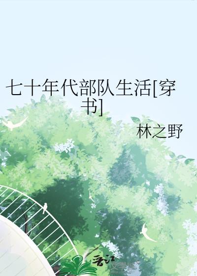 七十年代部队电视剧