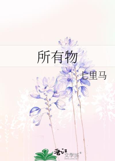 所有物的英文