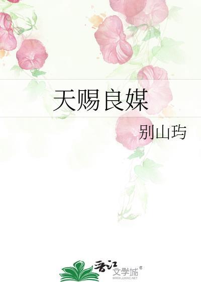 天赐良媒别山屿在线阅读