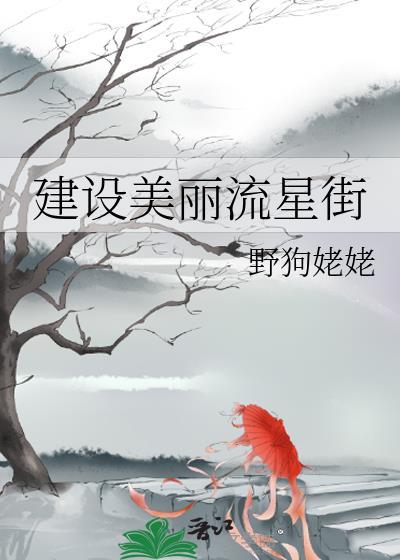 香港美丽流星之三十八