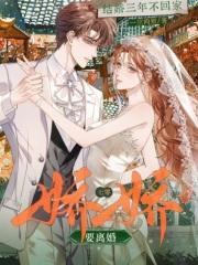 结婚三年不回家?七零娇娇要离婚在线阅读免费完整版