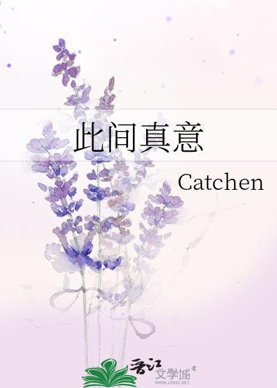 此间真意讲的什么