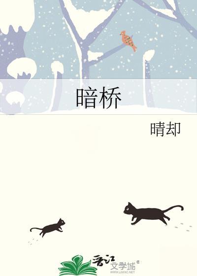 暗桥by晴却