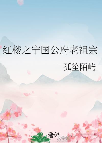 红楼梦之宁国府