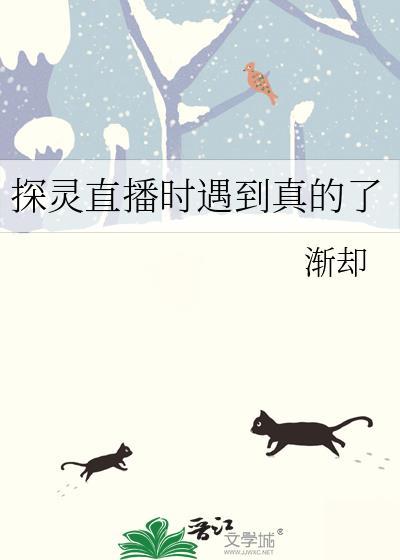 探灵直播全流程