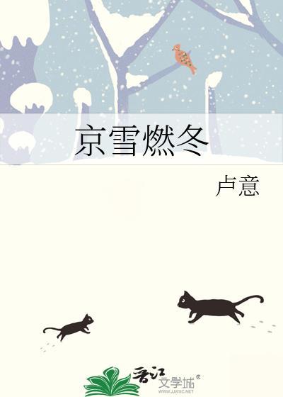 京雪燃冬TXT百度