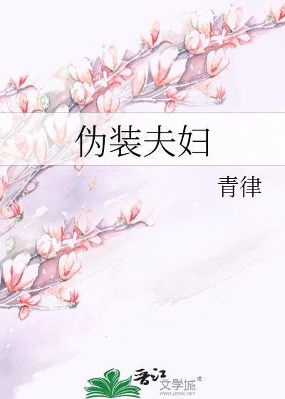 伪装夫妇日漫剧情介绍