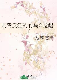 陆琮