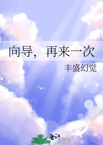 向导再来一次免费阅读