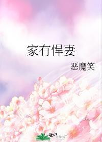 家有悍妻怎么破人物关系