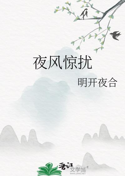 夜风惊扰讲了什么