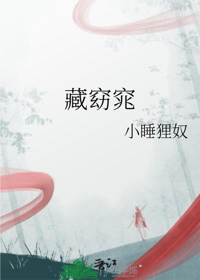 藏窈窕 晋江