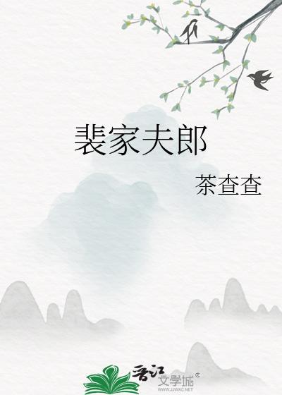 裴家夫郎by茶查查笔趣阁全文