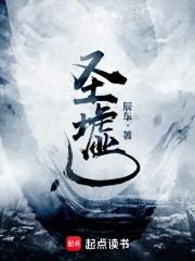 圣墟主角