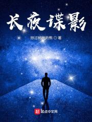 长夜谍影TXT八零电子书