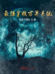 最强穿梭万界系统 纯金子弹头