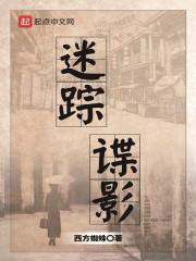 迷踪谍影在线观看
