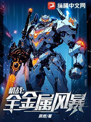 机战全金属风暴TXT资源最新更新