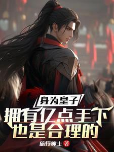 主角皇子