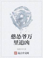 万里追凶电视剧