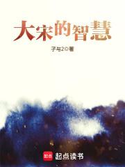 大宋的智慧免费阅读