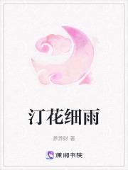 汀花细雨讲什么