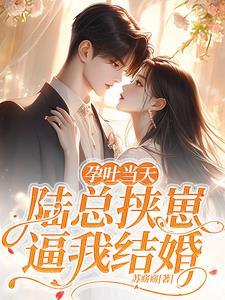 孕吐吐总裁一身