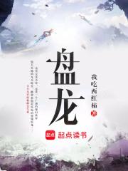 盘龙棍赵匡胤