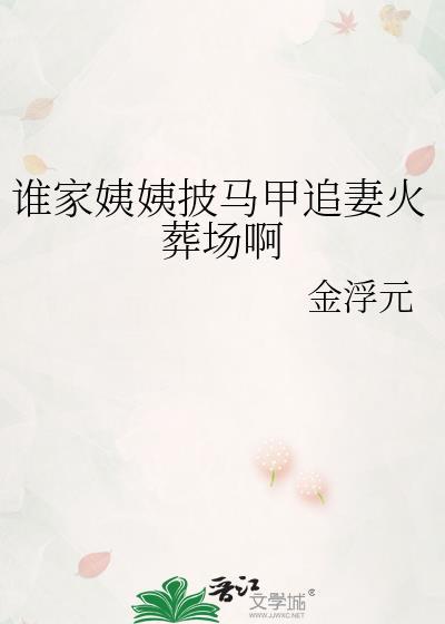 谁家姨姨披马甲追妻火葬场啊盘