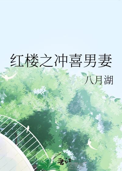 红楼之赐婚公主