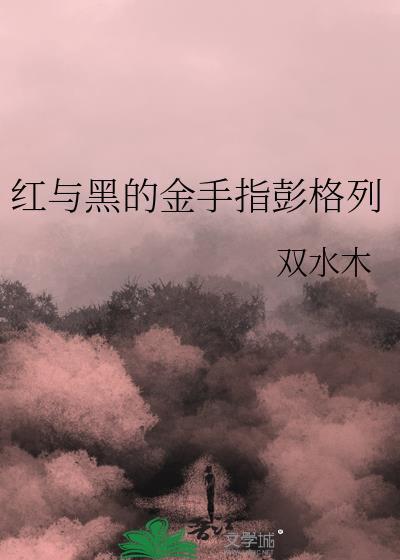 红与黑解说