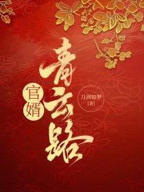 官婿青云路 第598章