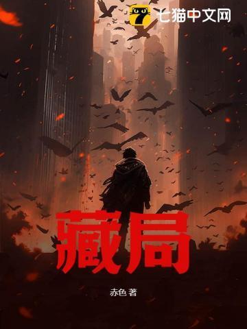 藏局格段