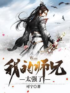 我的师兄太强了境界