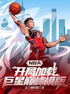 nba开局加强版司机