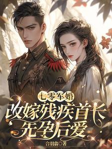 重生七零二婚嫁给军长