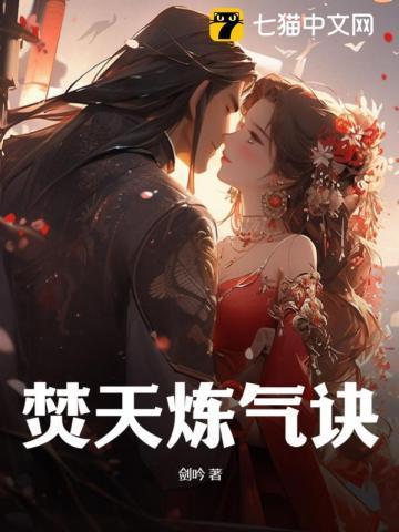 焚天炼气诀后续