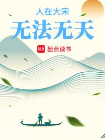人在大宋无法无天TXT80