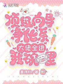 大佬全进我碗里 作者姜锦枝著