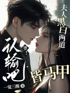 夫人黑白两道皆马甲 佑訡女主夏久