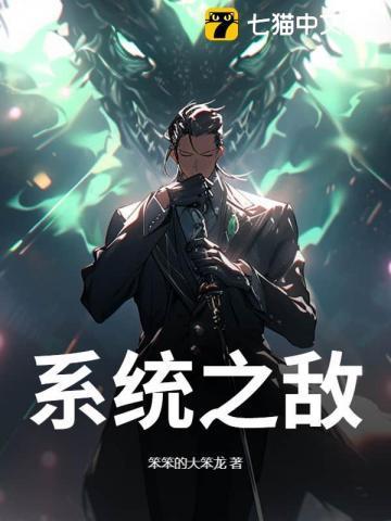 系统之敌人