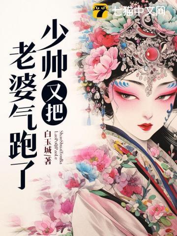 少帅老婆又跑了2