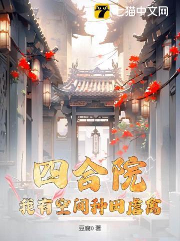 四合院随身空间