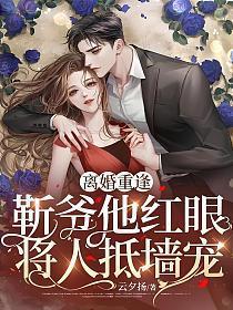 靳爷宠妻套路多