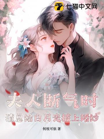 夫人虐渣a