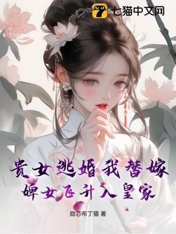 婢女飞升入皇家的