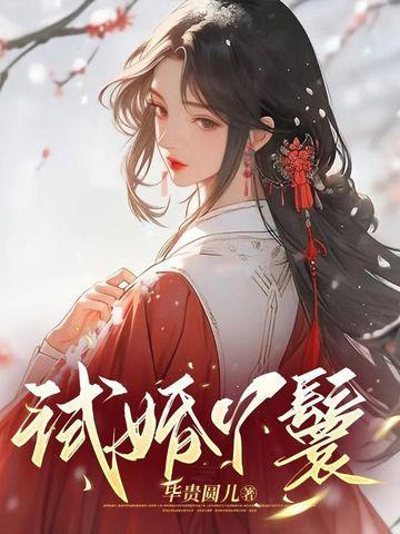 试婚丫头赵轼轩