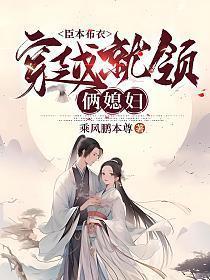 穿越就领俩媳妇 主角娶了几个老婆