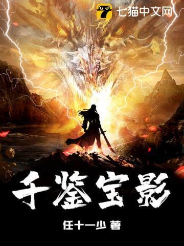 鉴宝精彩视频